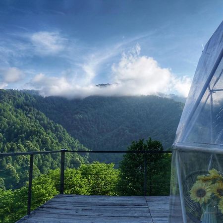 Mtirala Glamping Otel Chakvistavi Dış mekan fotoğraf
