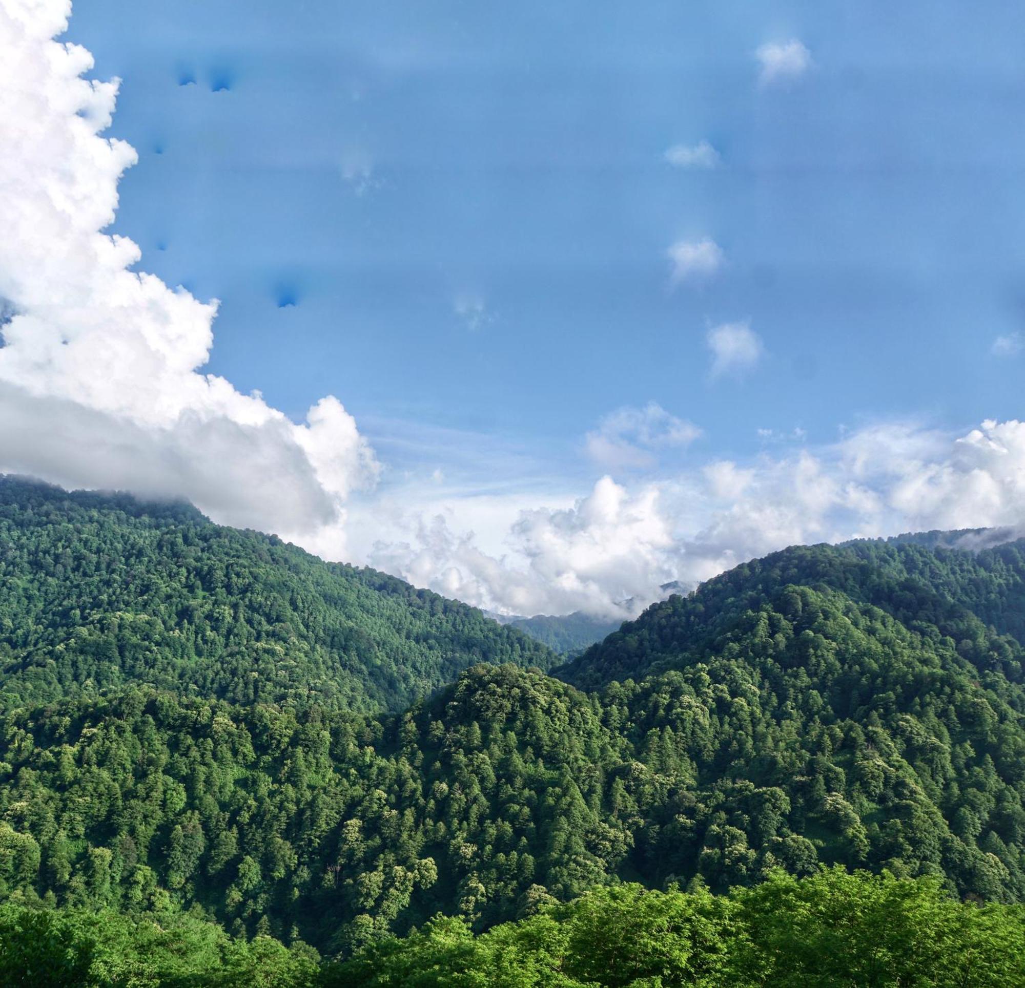Mtirala Glamping Otel Chakvistavi Dış mekan fotoğraf